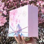 Carton d'emballage cadeau, de Rose, Boîte cadeau cosmétique à main, carton de cadeau