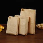 Revêtement alimentaire spot sac à fond pointu personnalisé poulet côtelette gâteau à la main collation sac d'organe jetable barbecue sac anti-graisse