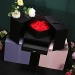 Boîte - cadeau 520 boîte - cadeau d'anniversaire de la Saint - Valentin boîte - cadeau Rose fleurs emballage double porte boîte - cadeau secouer le son
